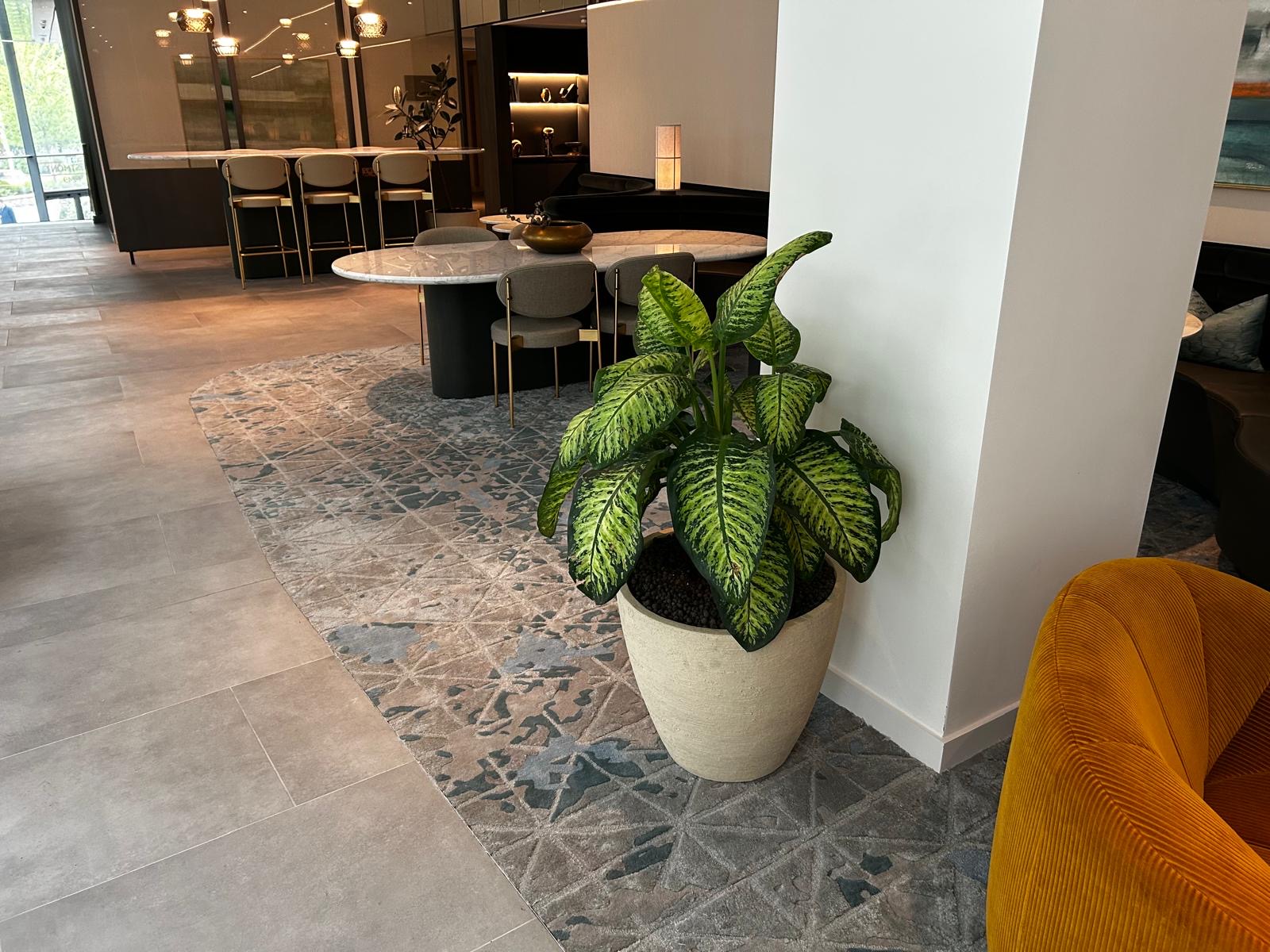 St James – Westmont, White City, London
